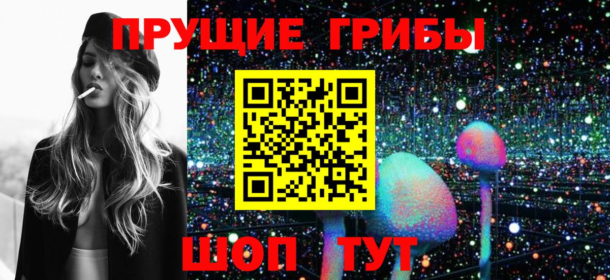 Псилоцибиновые грибы GOLDEN TEACHER  Псилоцибиновые грибы ЛСД  Вход с VPN  Нальчик 