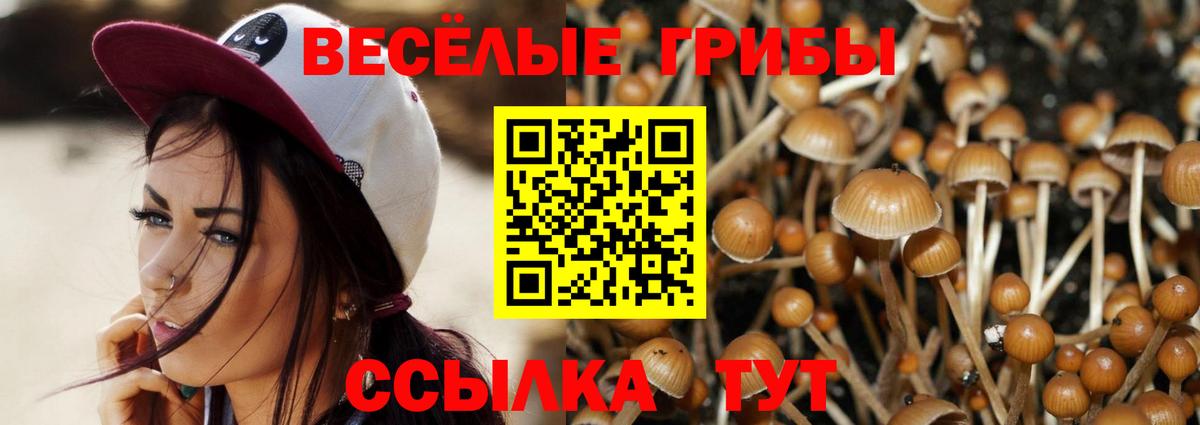 Псилоцибиновые грибы прущие грибы Нальчик